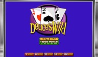 Multi-Hand Deuces Wild Poker